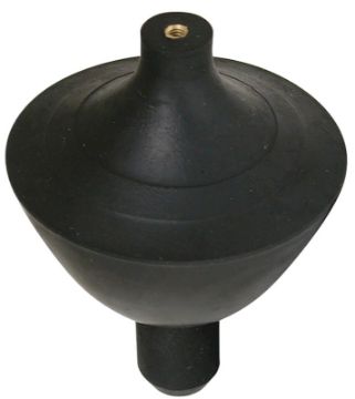 4950960.jpg