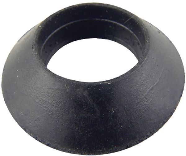 3596145.jpg