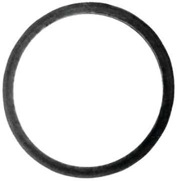 3882008.jpg
