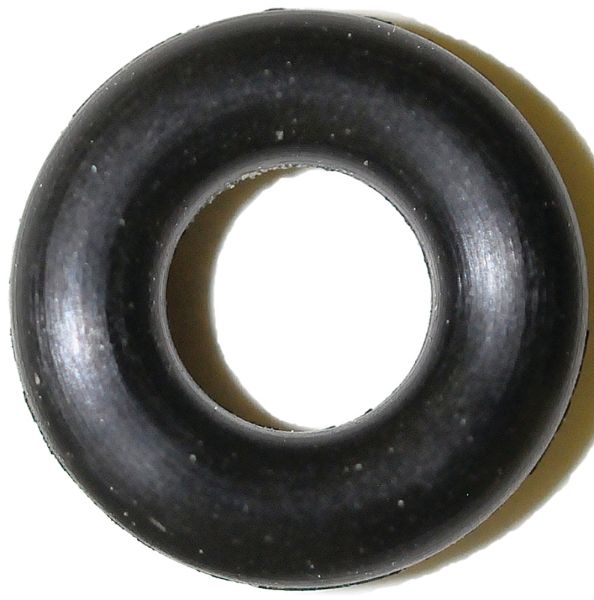 4164976.jpg