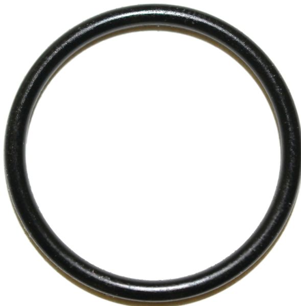 0595348.jpg