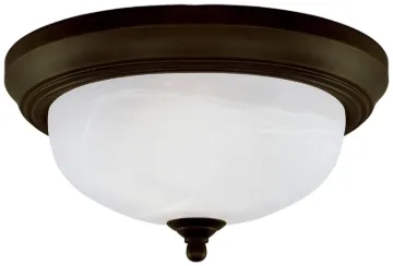 Westinghouse 6429100 Flush Mount Ceiling Fixture, 120 V, 60 W, 2-Lamp, Incandescent, LED Lamp, Steel