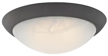 Westinghouse 6308900 Ceiling Light Fixture, 120 V, 15 W, 1-Lamp, LED Lamp, 1000 Lumens Lumens, 3000