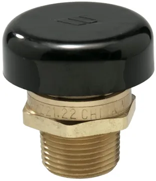 WATTS LFN36 Series 0951263 Vacuum Relief Valve, Brass