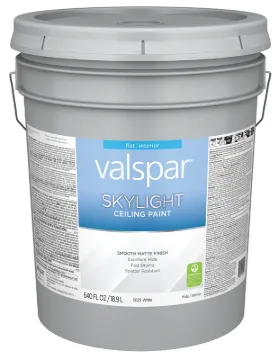 PAINT CEILING WHITE PAIL