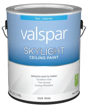 PAINT CEILING WHITE GA