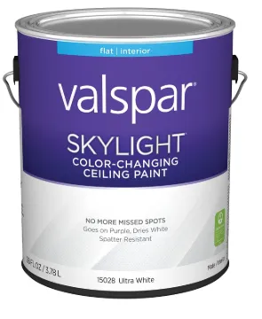 PAINT CEILING COLOR CHANGNG GA