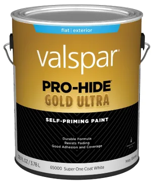 PAINT EXT FLAT SUPR ONE CT WHT