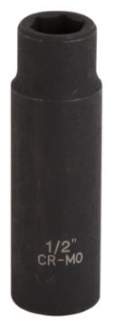 4430369.jpg