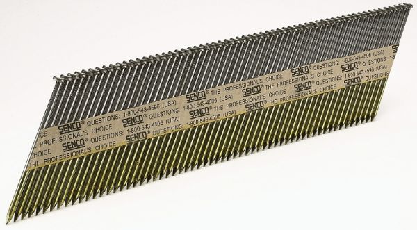 4669107.jpg