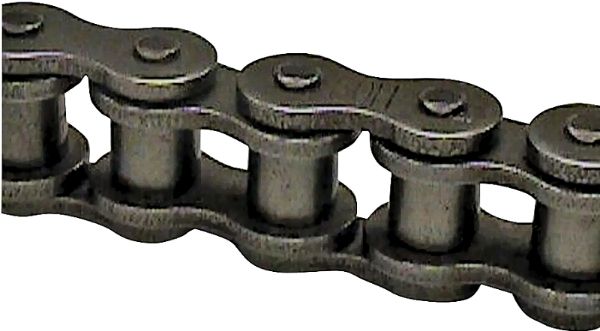 4867438.jpg