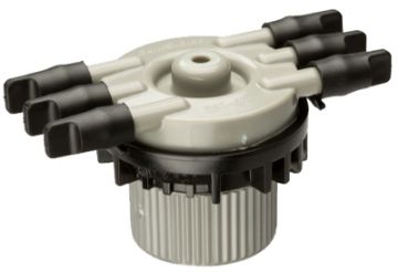 4962775.jpg