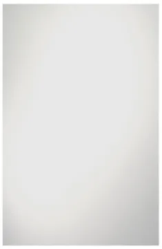 RENIN 201180 Somerset Frameless Mirror, 30 in L, 24 in W, Rectangular, Clear Frame
