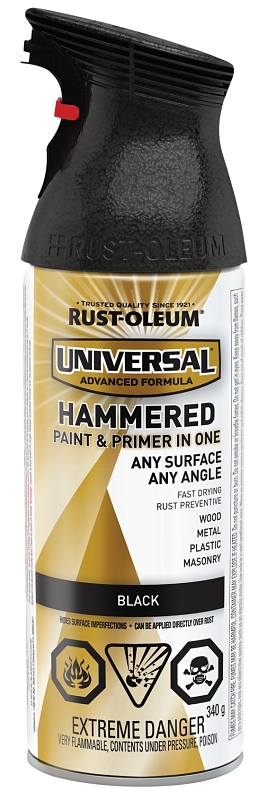 RUST-OLEUM 246443 Hammered Spray Paint, Hammered Gloss, Black, 340 g ...