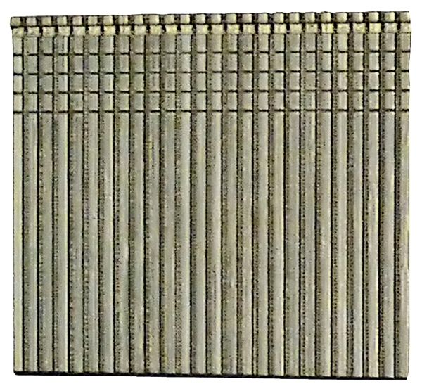 4015681.jpg