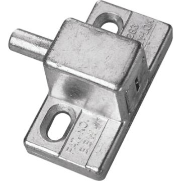 4913331.jpg