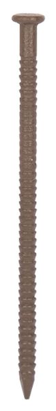 4015871.jpg