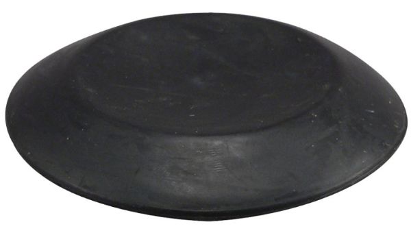 1897263.jpg