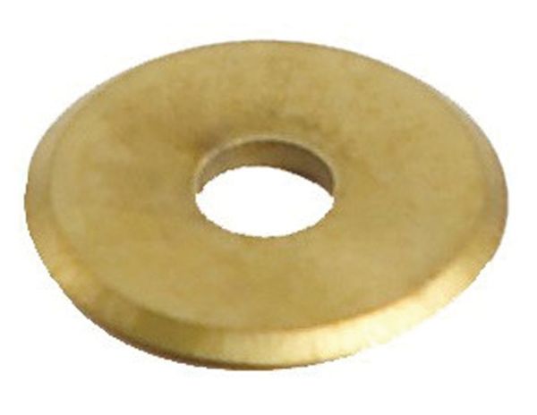 3593084.jpg