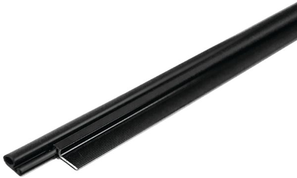 3167855.jpg