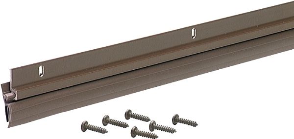 4805008.jpg