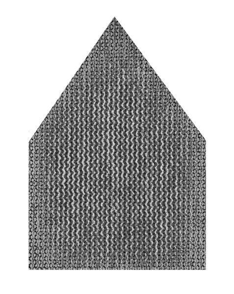 3405883.jpg