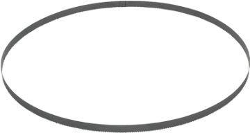 3906500.jpg