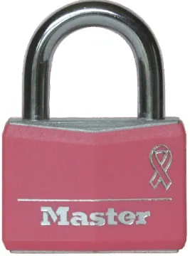 Master Lock 146D Padlock, Keyed Different Key, 1/4 in Dia Shackle, 7/8 in H Shackle, Steel Shackle,