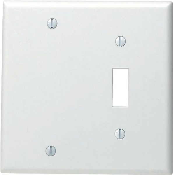 4590980.jpg