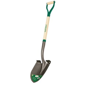 4168019.jpg