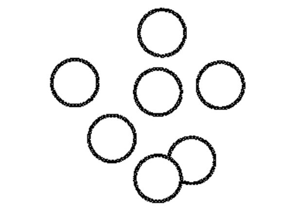 4604542.jpg