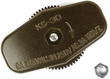 3404027.jpg