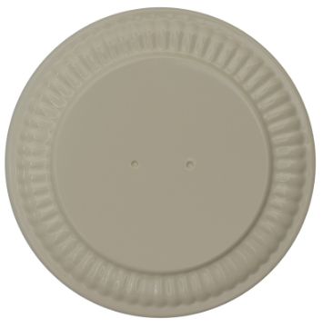4962619.jpg