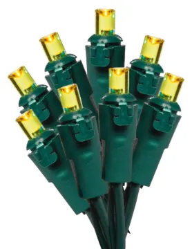 Hometown Holidays W11L1848 Light Set, Christmas, 120 V, 4.8 W, 70-Lamp, LED Lamp, Yellow Lamp, 18.58