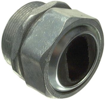 4865259.jpg