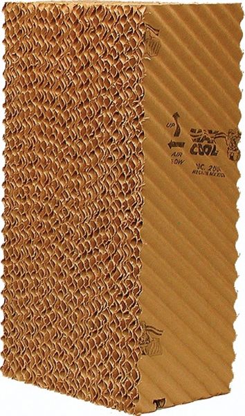 4904009.jpg