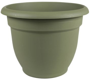 4693099.jpg
