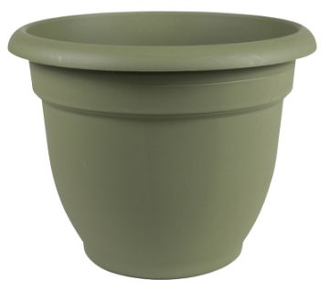4692992.jpg