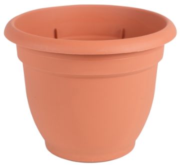 4692919.jpg