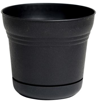 4693412.jpg