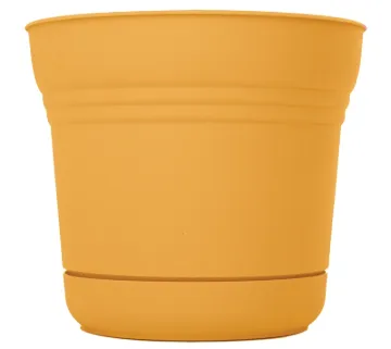 Bloem SP0523 Planter, 5 in Dia, 5 in W, Saturn Design, Earthy Yellow, Matte
