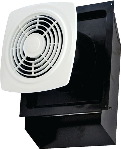 3842507.jpg