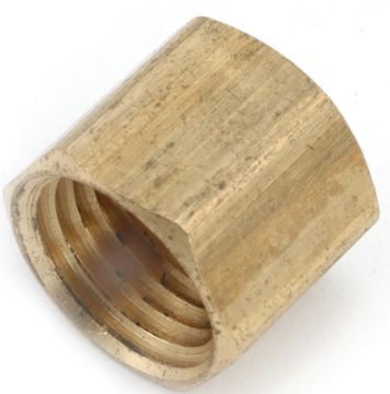 4492609.jpg