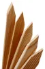 getimage.asp?id=112211&ImageType=2&NoImageType=2&ColorImageSize=3&LineArtImageSize=2