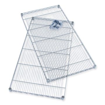 824370.JPG