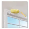 870659.JPG