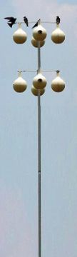 HEATH MP-15G Telescoping Gourd Pole, Steel