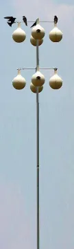 HEATH MP-15G Telescoping Gourd Pole, Steel