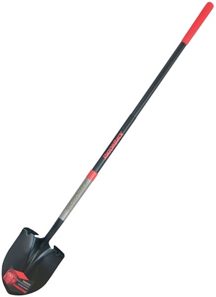 7005846.jpg