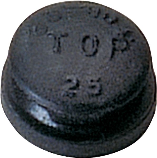 6992028.jpg